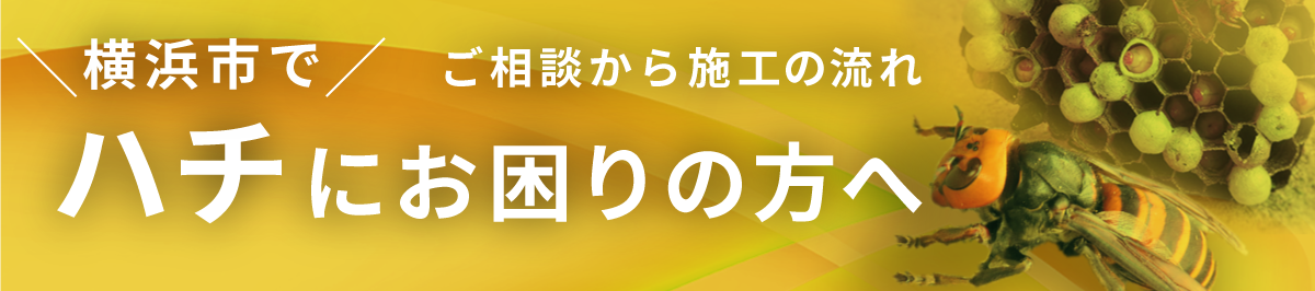 横浜市のスズメバチ・アシナガバチ駆除の流れ
