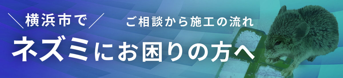 横浜市のネズミ駆除の流れ