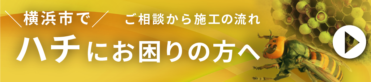横浜市のスズメバチ・アシナガバチ駆除の流れ