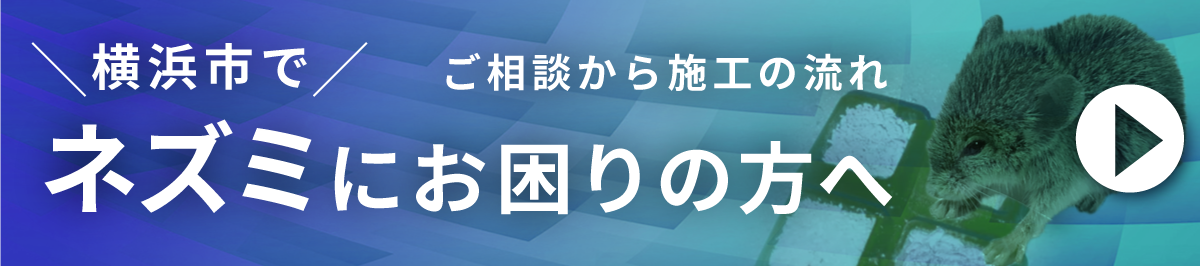 横浜市のネズミ駆除の流れ